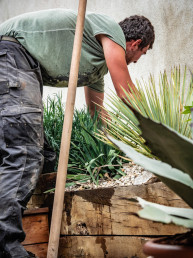 L'entretien de toutes vos plantations